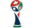2026年国际足联世界杯